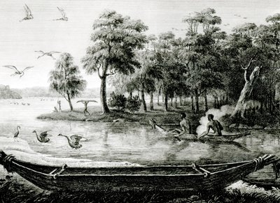New Holland: New South Wales by Charles Alexandre Lesueur
